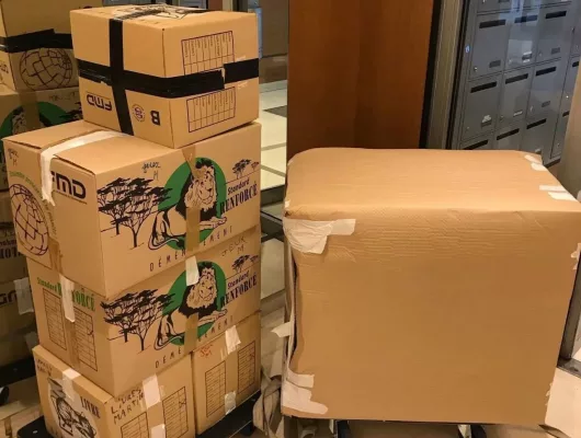 demenagement-maillard-fr (28)