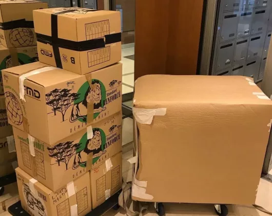 demenagement-maillard-fr (28)