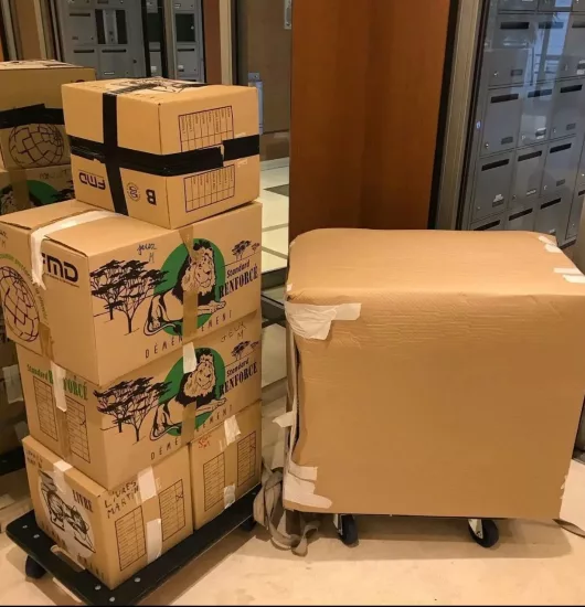 demenagement-maillard-fr (28)