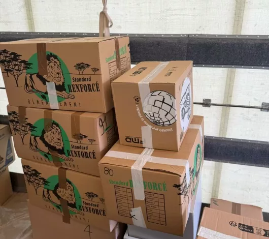 demenagement-maillard